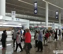  ufc312张伟丽苏亚雷斯现场直播 
